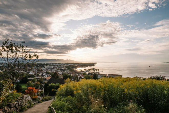 Blick auf den Bodensee (c) Nina Bröll / Vorarlberg Tourismus