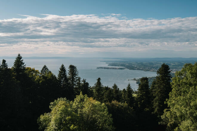 Ausblick auf den Bodensee (c) Nina Bröll / Vorarlberg Tourismus