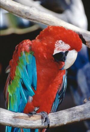 Vogelparadies in Mauren