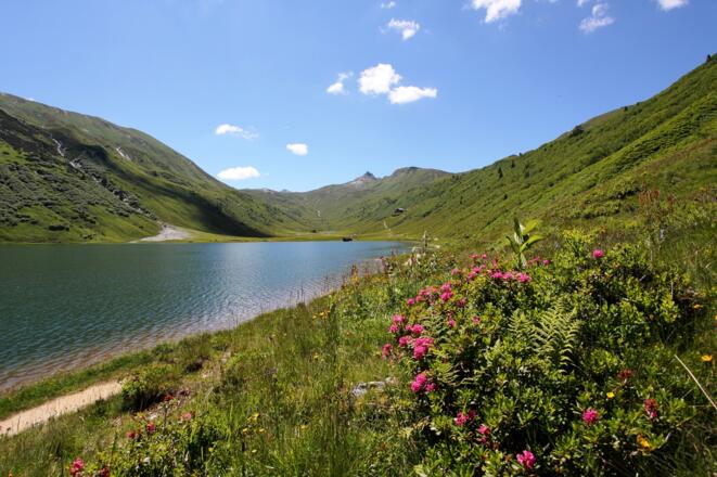 Tappenkarsee