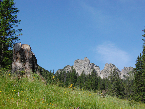Auf dem Weg zur Furkla Alpe hat man einen Tollen Blick auf den Schillerkopf.