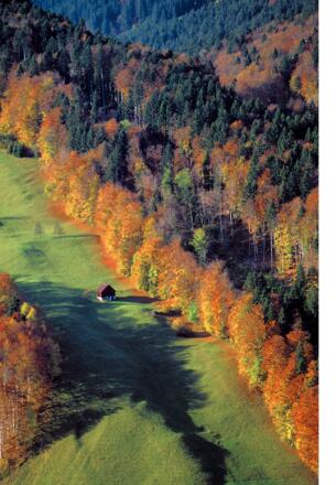 Herbstlandschaft bei Braz