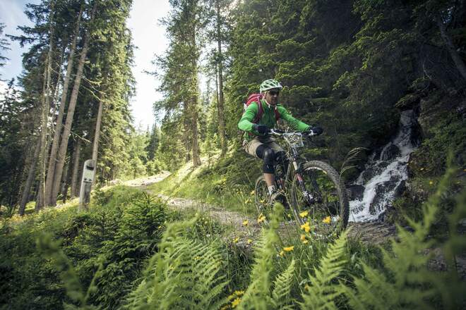 Trailabfahrt