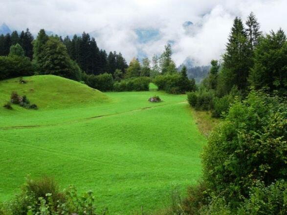 Wiese vor Lofer