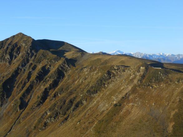 Stemmerkogel mit Blick auf die Venedigergruppe