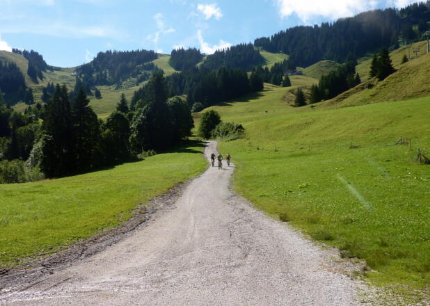 Bei der Auffahrt