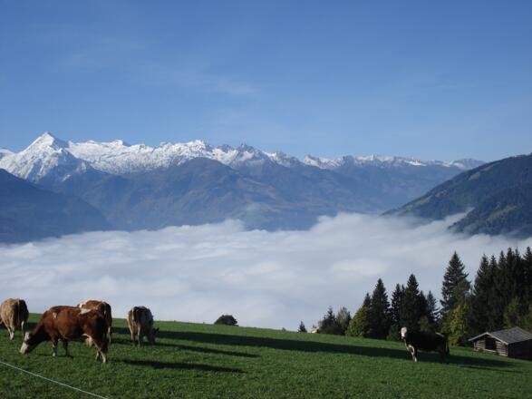 Toller Blick in die Hohen Tauern