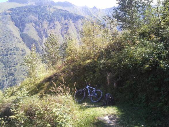 Am Bachler-Trail