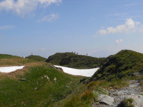 Hohe Penhab
