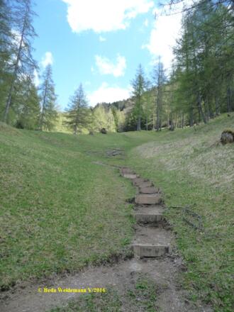 Steig durch die Mähder