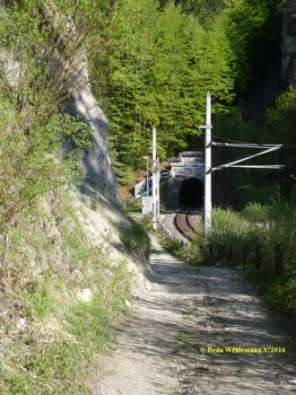 am Tunnelportal zum ca. 1800 m langen Martinswandtunnel