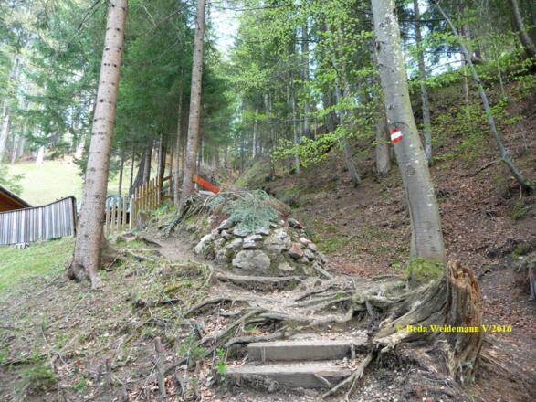 Zwischen den Wochenendhäuschen in den Mähdern