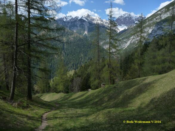 Blick aus den Zirler Mähder zur Erlspitze