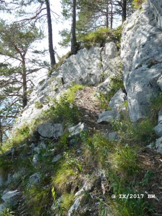 der unmarkierte Pfad leitet durch steiles Gras und Schrofengelände