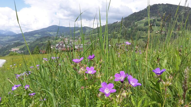 Aussicht von St. Veit Schattseite im Frühling