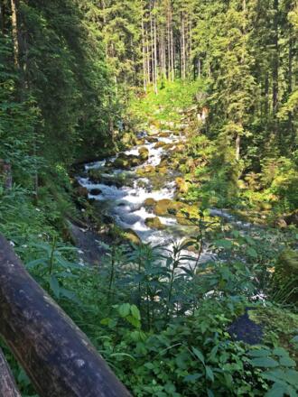 Gollinger Wasserfall