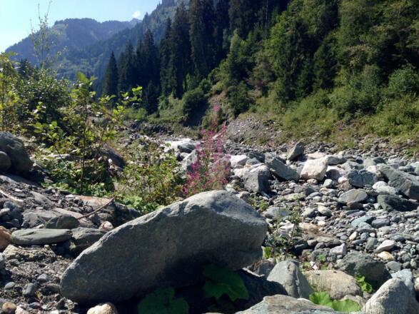 Blick auf den Hollersbach
