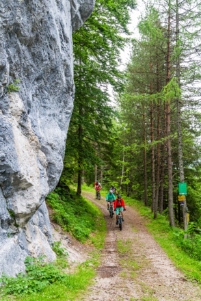 Eibenberg Runde