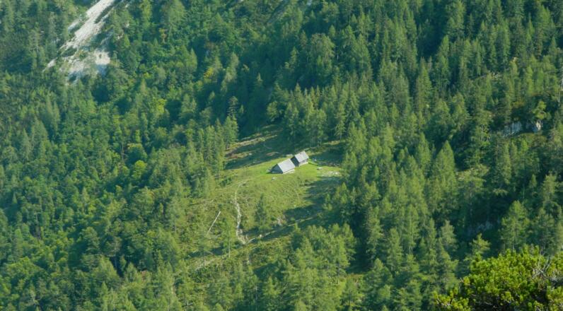 Tiefblick vom Mannsberg zur Laglalm