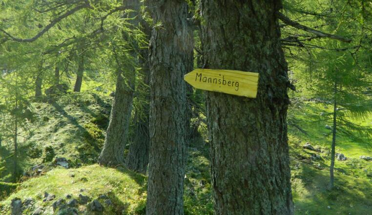 Wegweiser zum Mannsberg