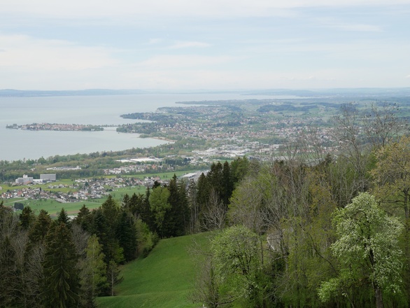 Herrlicher Ausblick auf den Bodensee