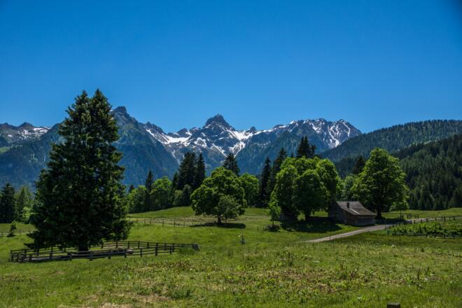 Ronaalpgebiet mit Blick zur Zimba