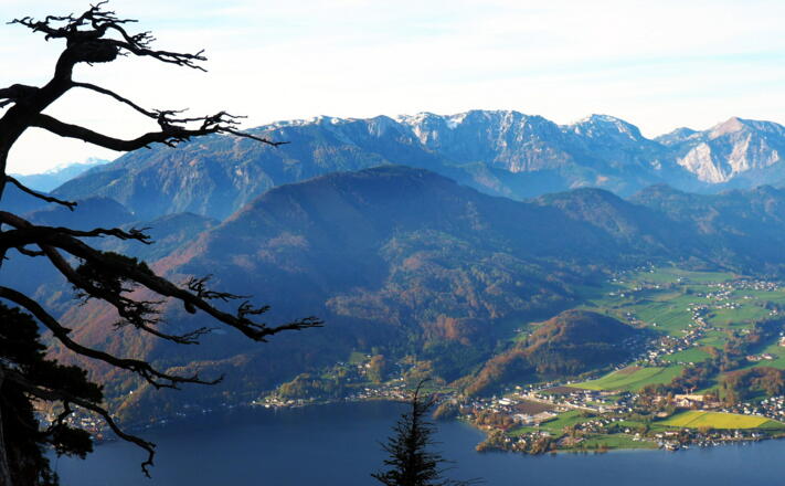 Höllengebirge, ca. 1100m