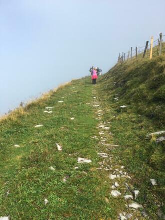 Wanderweg zum Gipfel am Trattberg