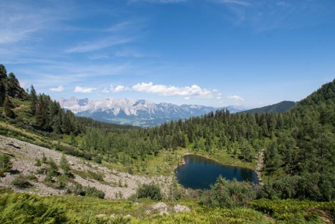 Blick auf den Untersee