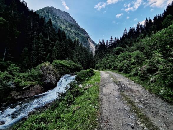 Entlang dem Steinriesenbach zur Gollinghütte