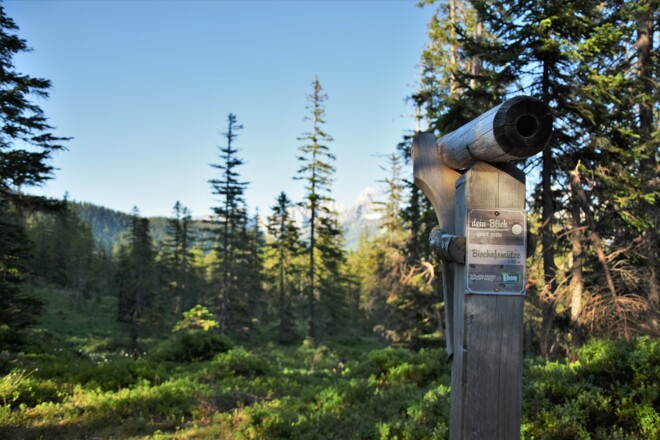 Aussichtspunkt in Richtung Bischofsmütze