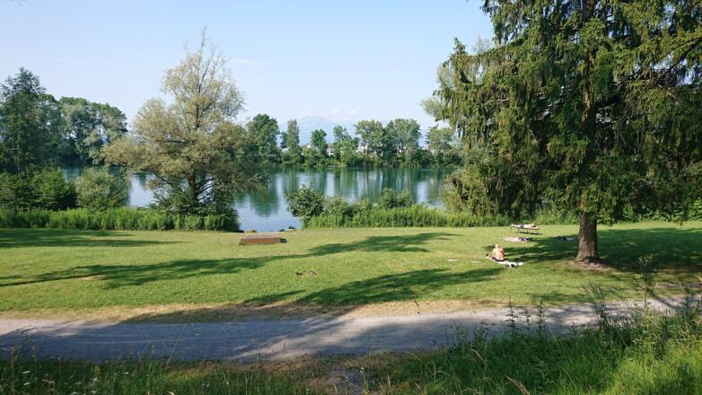 Liegewiese Alter Rhein