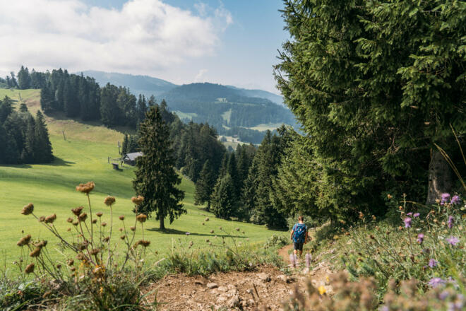 vom Bödele Richtung Bildstein  (c) packyourthingsandtravel / Vorarlberg Tourismus