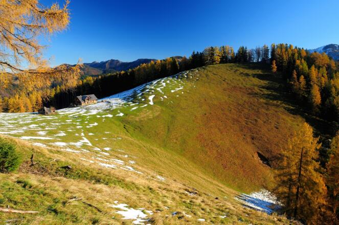 Blahbergalm im Herbst