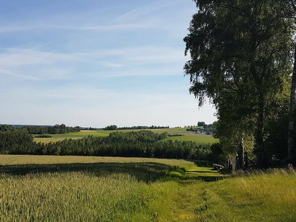 Lohwiese