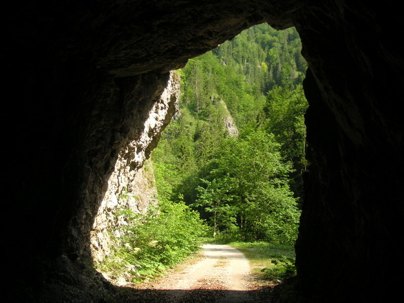 Einst fuhr die Waldbahn durch die vielen Tunnels, jetzt sind sie Teil des Radweges