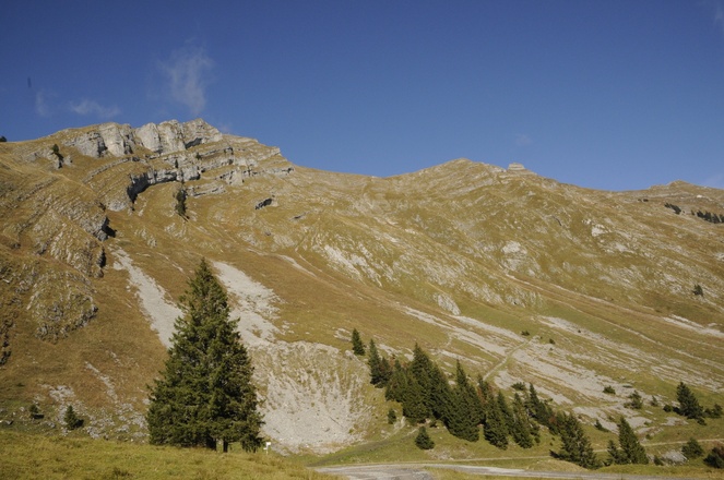 Die Südflanke der Kanisfluh ist grasbewachsen.