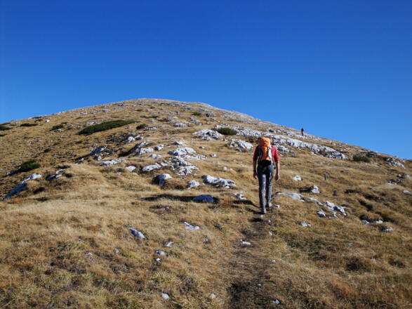 Der grasige Gipfelhang des Wildenkogel