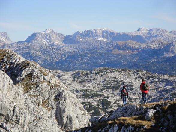 Weiterweg vom Wildenkogel in Richtung Albert-Appel-Haus und Rinnerhütte