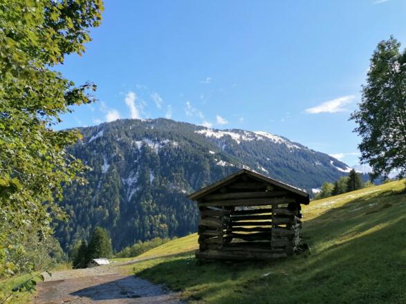 Streuehütte im Auer Ried