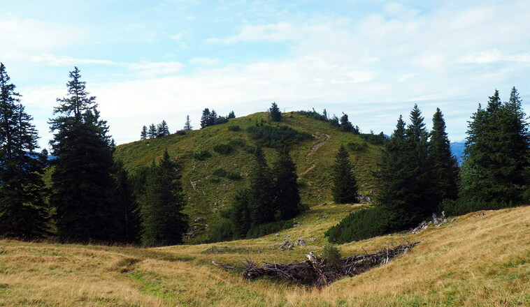 Spitzplaneck 1617m, Schlussanstieg