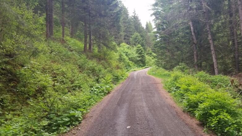 Anstieg ca. 80 Höhenmeter