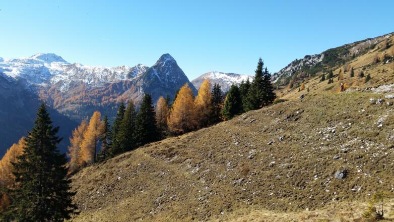 Blick ins Riedingtal