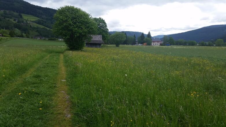 Weg nach Überquerung der Hauptstraße