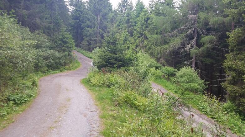 Sie kommen von unten links und biegen dann rechts ab