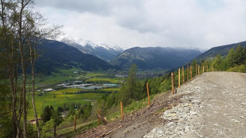 Forststraße folgen und nach St. Martin
