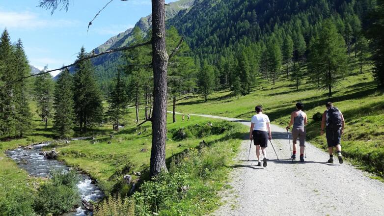 Forstweg Richtung Lignitzsee