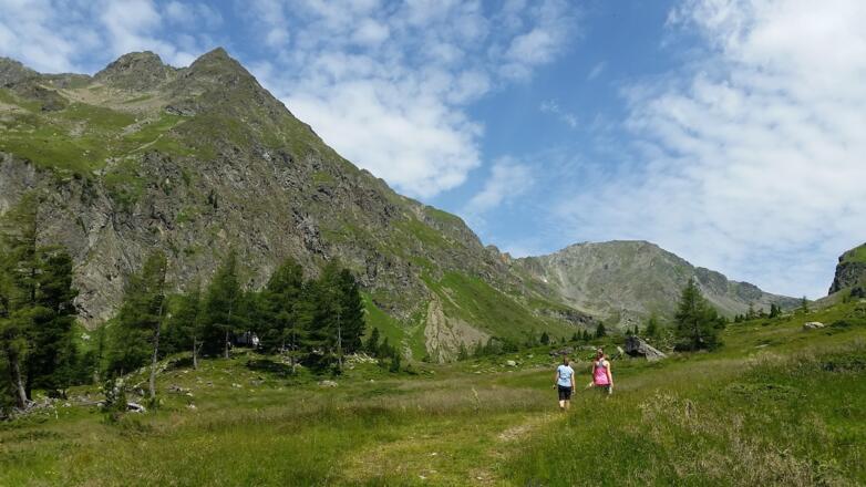 Baumgrenze vom Lignitztal