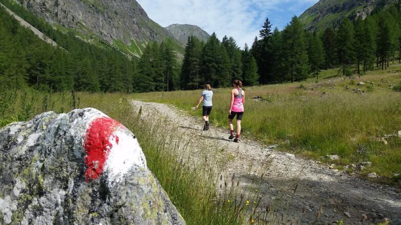 Letzter Wald