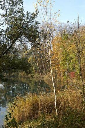 Auch im Herbst ist es am Alten Rhein schön